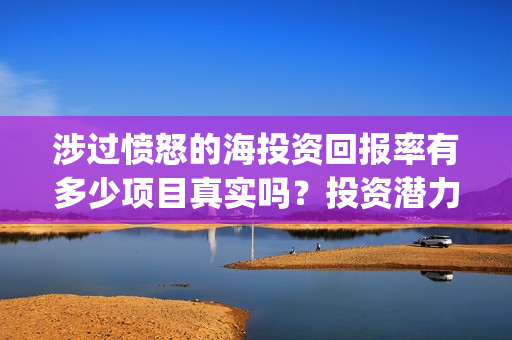 涉过愤怒的海投资回报率有多少项目真实吗？投资潜力高吗？(涉过愤怒的海没过审)