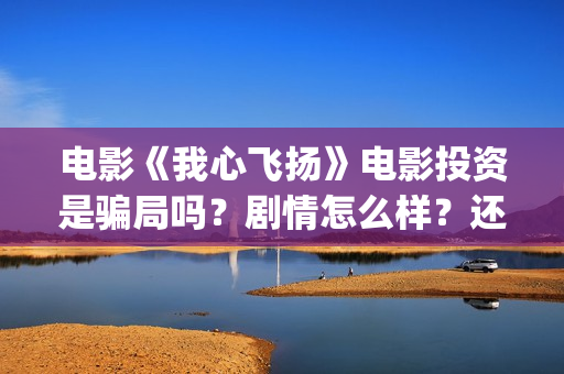 电影《我心飞扬》电影投资是骗局吗？剧情怎么样？还有份额吗？(电影我心飞扬原型)