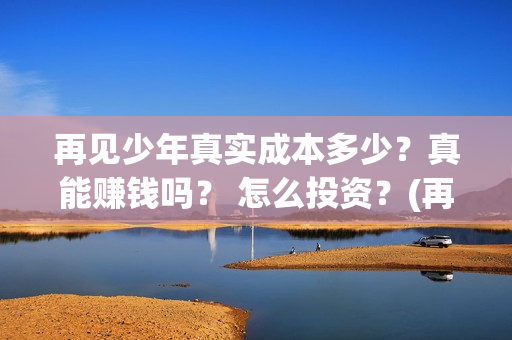 再见少年真实成本多少？真能赚钱吗？ 怎么投资？(再见少年是谁)