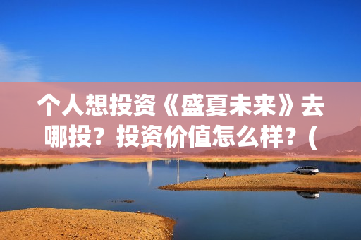 个人想投资《盛夏未来》去哪投？投资价值怎么样？(个人投资做什么好)