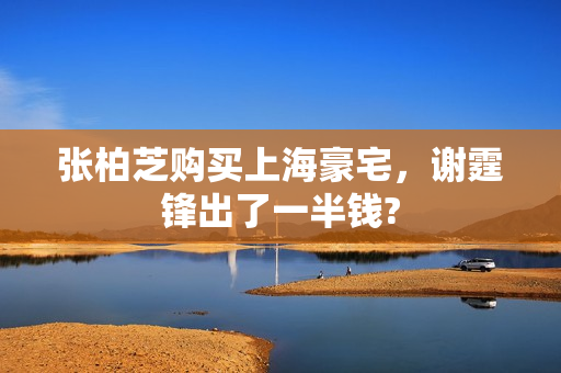 张柏芝购买上海豪宅,谢霆锋出了一半钱? 张柏芝购买上海豪宅,谢霆锋出了一半钱?