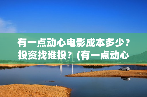 有一点动心电影成本多少？投资找谁投？(有一点动心电影完整版)
