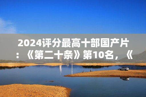 2024评分最高十部国产片：《第二十条》第10名，《破地狱》第3名