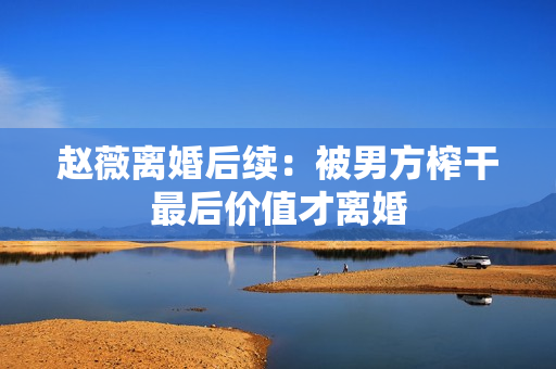 赵薇离婚后续：被男方榨干最后价值才离婚