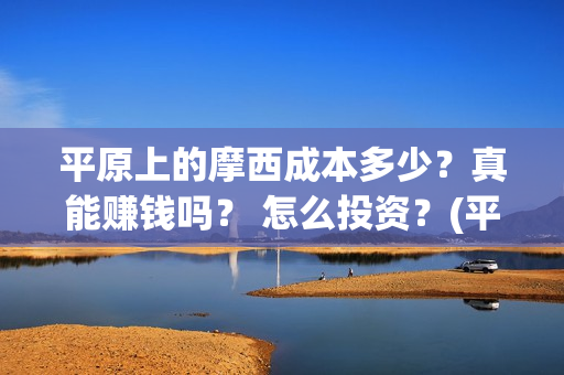 平原上的摩西成本多少？真能赚钱吗？ 怎么投资？(平原上的摩西摩西什么意思)