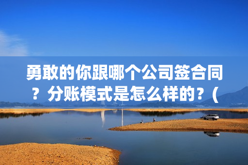 勇敢的你跟哪个公司签合同？分账模式是怎么样的？(勇敢的你跟哪个电影相似)