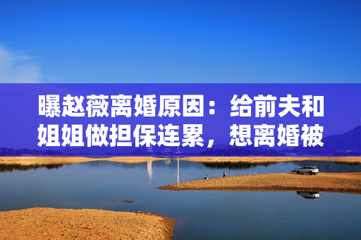 曝赵薇离婚原因：给前夫和姐姐做担保连累，想离婚被男方拖了两年