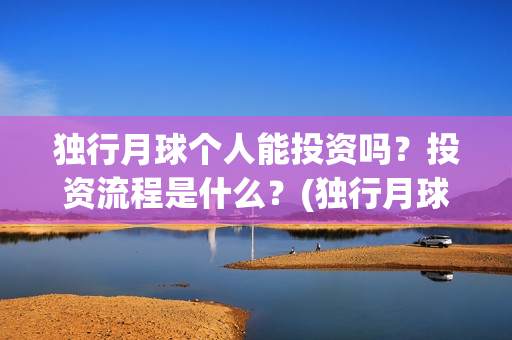 独行月球个人能投资吗？投资流程是什么？(独行月球结局什么意思)