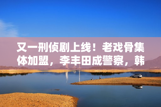 又一刑侦剧上线！老戏骨集体加盟，李丰田成警察，韩雪或成败笔？