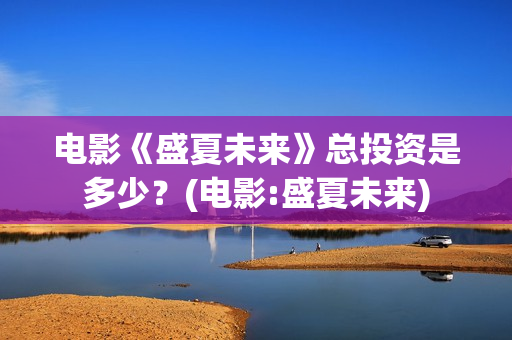 电影《盛夏未来》总投资是多少？(电影:盛夏未来)
