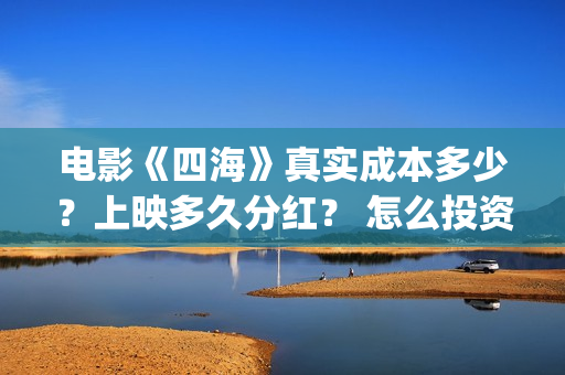 电影《四海》真实成本多少？上映多久分红？ 怎么投资？(电影《四海》真名叫什么)