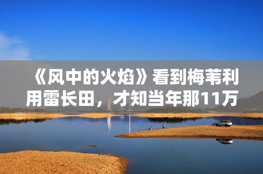 《风中的火焰》看到梅苇利用雷长田，才知当年那11万到底被谁拿走
