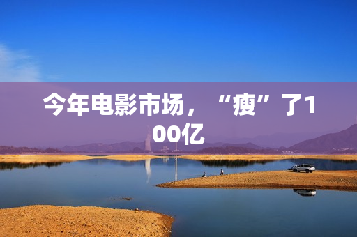 今年电影市场，“瘦”了100亿