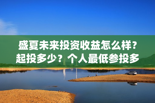 盛夏未来投资收益怎么样？起投多少？个人最低参投多少？(盛夏未来总投资)