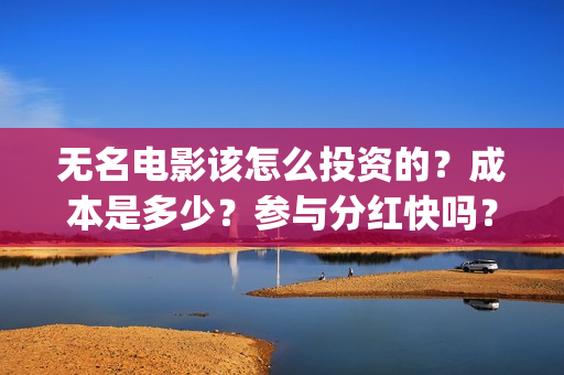 无名电影该怎么投资的？成本是多少？参与分红快吗？(电影《无名》)
