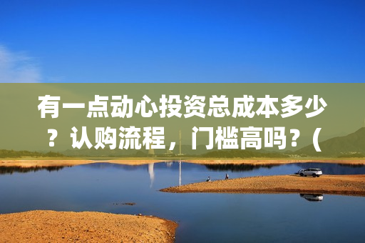有一点动心投资总成本多少？认购流程，门槛高吗？(有一点动心出品方)