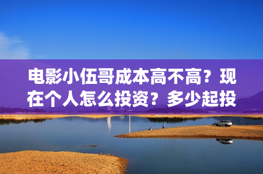 电影小伍哥成本高不高？现在个人怎么投资？多少起投？(电影小伍哥投资)