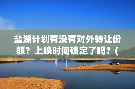 盐湖计划有没有对外转让份额？上映时间确定了吗？(盐湖计划有没有国家补贴)
