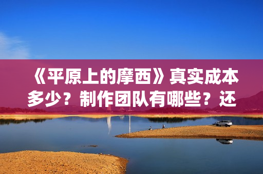 《平原上的摩西》真实成本多少？制作团队有哪些？还有份额吗？(平原上的摩西分集剧情介绍)