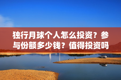 独行月球个人怎么投资？参与份额多少钱？值得投资吗？(独行月球电影女主)