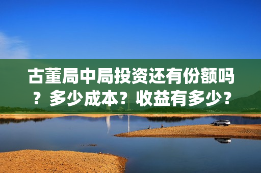 古董局中局投资还有份额吗？多少成本？收益有多少？(古董局中局制作团队)