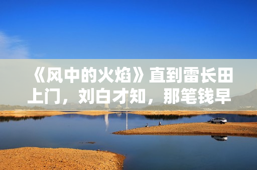 《风中的火焰》直到雷长田上门，刘白才知，那笔钱早已被梅苇拿走