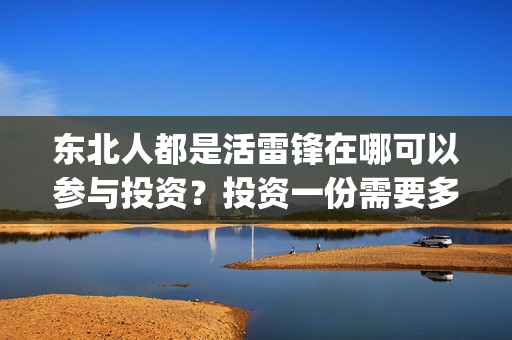 东北人都是活雷锋在哪可以参与投资？投资一份需要多少钱？(东北人都是活雷锋 歌词)