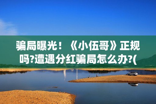 骗局曝光！《小伍哥》正规吗?遭遇分红骗局怎么办?(小型骗局)