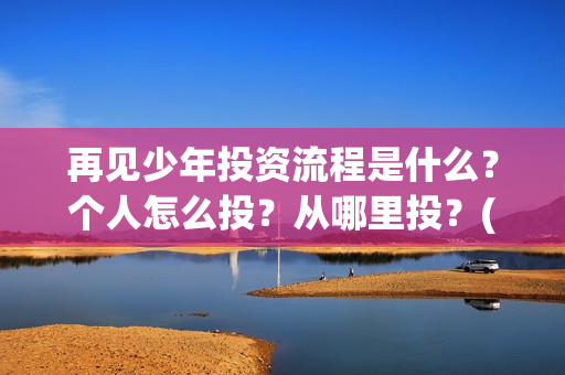 再见少年投资流程是什么?个人怎么投?从哪里投?(再见少年怎么样) 再见少年投资流程是什么?个人怎么投?从哪里投?(再见少年怎么样)