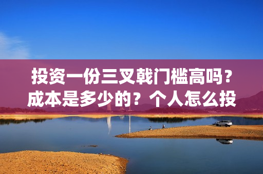 投资一份三叉戟门槛高吗？成本是多少的？个人怎么投资参与一份？(三叉戟造价)