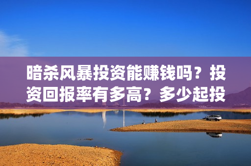 暗杀风暴投资能赚钱吗？投资回报率有多高？多少起投(暗杀风暴百科)