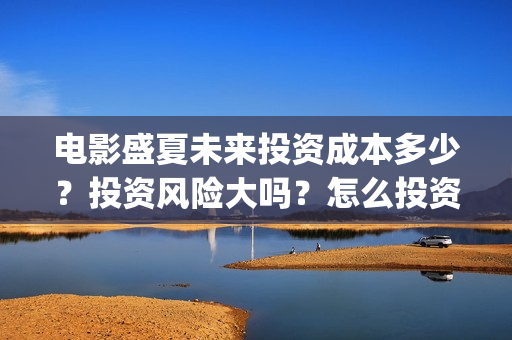 电影盛夏未来投资成本多少？投资风险大吗？怎么投资？(盛夏未来 电影简介)
