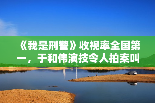 《我是刑警》收视率全国第一，于和伟演技令人拍案叫绝