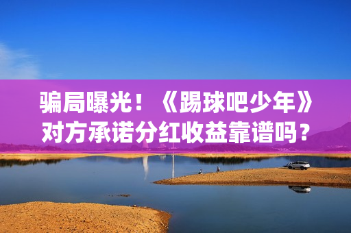 骗局曝光！《踢球吧少年》对方承诺分红收益靠谱吗？已经合同认购可以追回吗？(踢踹要害)