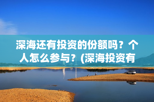 深海还有投资的份额吗？个人怎么参与？(深海投资有限公司)