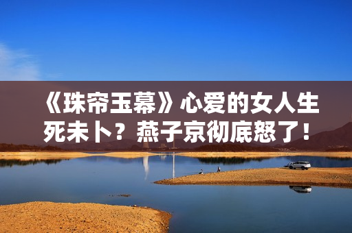 《珠帘玉幕》心爱的女人生死未卜？燕子京彻底怒了！