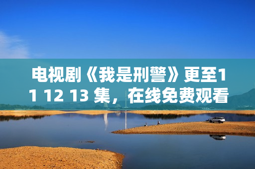 电视剧《我是刑警》更至11 12 13 集，在线免费观看（ 附资源）