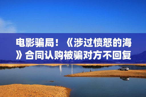 电影骗局!《涉过愤怒的海》合同认购被骗对方不回复怎么办?怎么追回资金?(电影诈骗案件立案后公安会怎么处理) 电影骗局!《涉过愤怒的海》合同认购被骗对方不回复怎么办?怎么追回资金?(电影诈骗案件立案后公安会怎么处理)