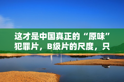 这才是中国真正的“原味”犯罪片,B级片的尺度,只是开胃菜 这才是中国真正的“原味”犯罪片,B级片的尺度,只是开胃菜