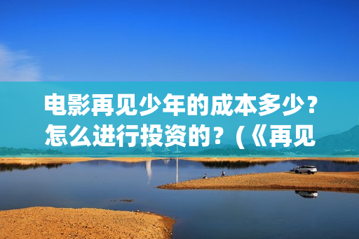电影再见少年的成本多少？怎么进行投资的？(《再见少年》)