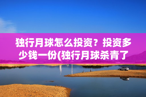 独行月球怎么投资？投资多少钱一份(独行月球杀青了吗)