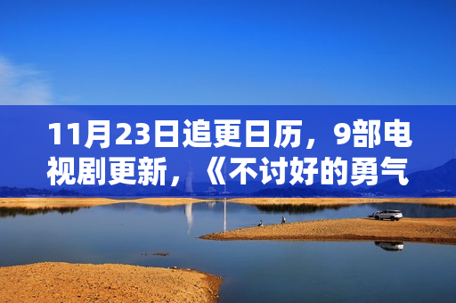 11月23日追更日历，9部电视剧更新，《不讨好的勇气》今日首播