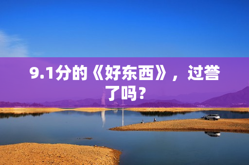 9.1分的《好东西》，过誉了吗？