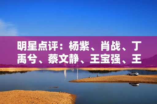 明星点评：杨紫、肖战、丁禹兮、蔡文静、王宝强、王鹤棣