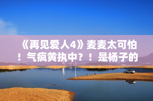 《再见爱人4》麦麦太可怕!气疯黄执中?!是杨子的“救世主”! 《再见爱人4》麦麦太可怕!气疯黄执中?!是杨子的“救世主”!
