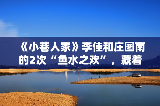 《小巷人家》李佳和庄图南的2次“鱼水之欢”，藏着成年人的算计