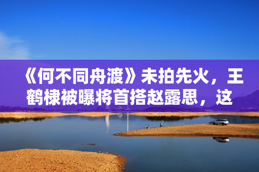 《何不同舟渡》未拍先火，王鹤棣被曝将首搭赵露思，这下有盼头了