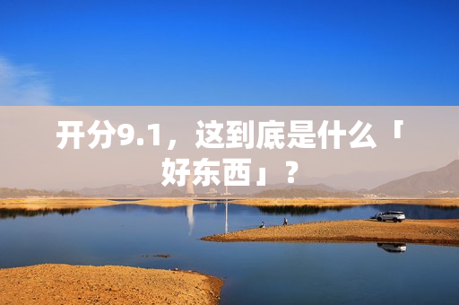 开分9.1,这到底是什么「好东西」? 开分9.1,这到底是什么「好东西」?