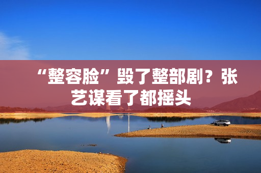 “整容脸”毁了整部剧?张艺谋看了都摇头 “整容脸”毁了整部剧?张艺谋看了都摇头