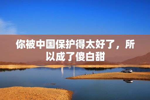 你被中国保护得太好了，所以成了傻白甜